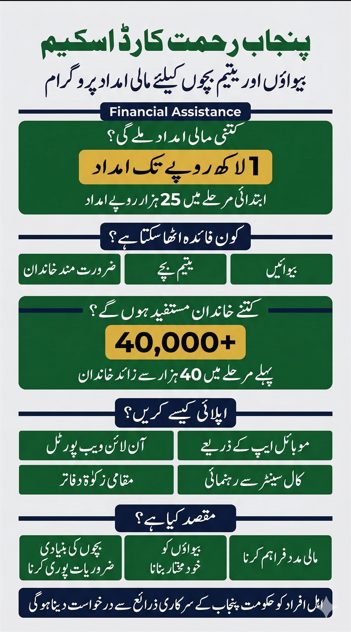Punjab Rehmat Card scheme infographic explaining financial assistance and application process