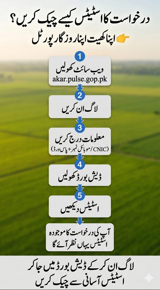 Urdu image showing how to check application status on Apna Khet Apna Rozgar portal using login dashboard and CNIC details.